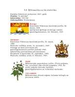 Referāts 'Kanāda', 10.