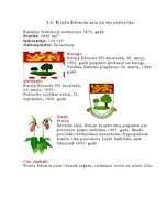 Referāts 'Kanāda', 13.