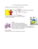 Referāts 'Kanāda', 16.