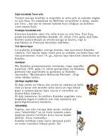 Referāts 'Kanāda', 27.