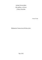 Referāts 'Mežaparka līdzsvarotas attīstības plāns', 1.