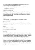 Referāts 'Mežaparka līdzsvarotas attīstības plāns', 7.