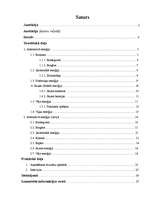 Referāts 'Alternatīvā enerģija un tās izmantošana Latvijā', 2.