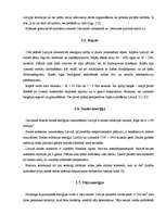 Referāts 'Alternatīvā enerģija un tās izmantošana Latvijā', 17.