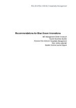 Eseja 'Recommendations for Blue Ocean Innovations', 1.