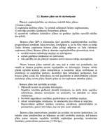 Biznesa plāns 'SIA "Prisma" biznesa plāns ', 6.