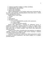 Biznesa plāns 'SIA "Prisma" biznesa plāns ', 9.