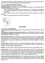 Konspekts 'Interešu konflikta novēršana valsts amatpersonu darbībā', 2.
