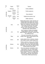 Konspekts 'Ģeohronolīģiskais iedalījums', 1.