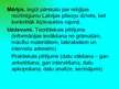 Referāts 'Reliģijas loma Aizkraukles rajona iedzīvotāju vidū', 41.