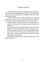 Referāts 'Zirgi', 23.