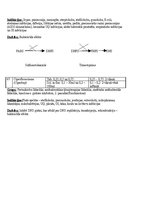 Konspekts 'Farmakoloģijas preparāti', 19.
