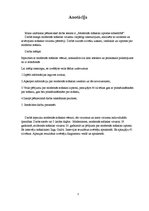 Referāts 'Modernās mākslas izpratne', 3.