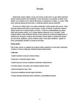 Referāts 'Modernās mākslas izpratne', 4.