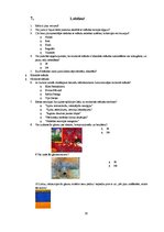 Referāts 'Modernās mākslas izpratne', 29.