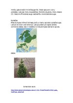 Konspekts 'Kailsēkļi', 2.