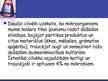 Prezentācija 'Mikroorganismi', 2.