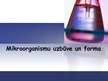 Prezentācija 'Mikroorganismi', 14.