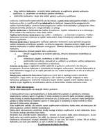 Konspekts 'Uzņēmuma uzbūve', 3.