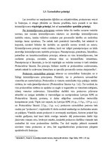 Diplomdarbs 'Prokurora uzraudzība pār izmeklēšanu', 19.