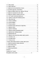 Prakses atskaite 'A/s "Dzintars" ', 3.