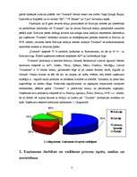 Prakses atskaite 'A/s "Dzintars" ', 9.