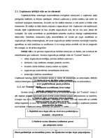 Prakses atskaite 'A/s "Dzintars" ', 10.