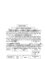 Prakses atskaite 'A/s "Dzintars" ', 11.