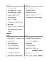 Prakses atskaite 'A/s "Dzintars" ', 16.