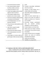 Prakses atskaite 'A/s "Dzintars" ', 17.