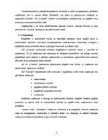 Prakses atskaite 'A/s "Dzintars" ', 22.