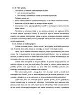 Prakses atskaite 'A/s "Dzintars" ', 28.