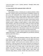 Prakses atskaite 'A/s "Dzintars" ', 29.