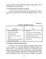 Prakses atskaite 'A/s "Dzintars" ', 30.