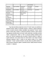 Prakses atskaite 'A/s "Dzintars" ', 33.