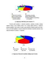 Prakses atskaite 'A/s "Dzintars" ', 35.
