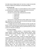 Prakses atskaite 'A/s "Dzintars" ', 37.