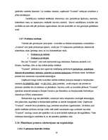 Prakses atskaite 'A/s "Dzintars" ', 39.