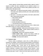 Prakses atskaite 'A/s "Dzintars" ', 40.