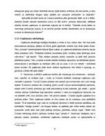 Prakses atskaite 'A/s "Dzintars" ', 42.