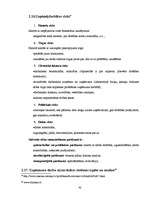 Prakses atskaite 'A/s "Dzintars" ', 45.