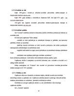 Prakses atskaite 'A/s "Dzintars" ', 46.