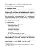 Prakses atskaite 'A/s "Dzintars" ', 48.