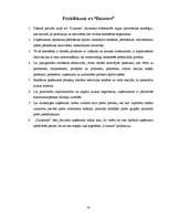 Prakses atskaite 'A/s "Dzintars" ', 53.