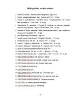 Prakses atskaite 'A/s "Dzintars" ', 54.