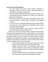 Konspekts 'ATA konvencija', 2.