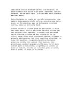 Referāts 'Hulio Kortesārs "Kāds, vārdā Lūkass"', 6.