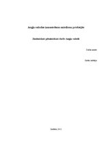 Referāts 'Angļu valodas izmantošana mūsdienu profesijās', 1.