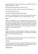 Referāts 'Angļu valodas izmantošana mūsdienu profesijās', 6.