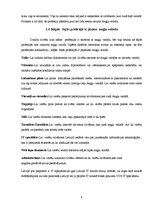 Referāts 'Angļu valodas izmantošana mūsdienu profesijās', 9.